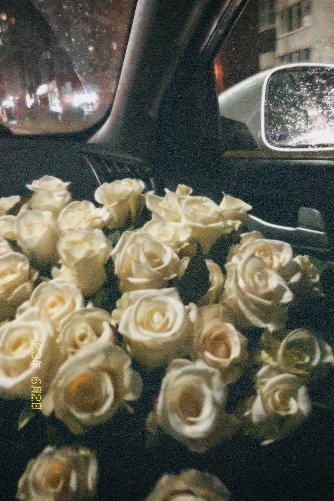 Dawn's First Blush: A Mélange of Morning Blooms